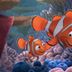 Image for article titled Scientifically Accurate Finding Nemo Would Be Horrifyingly Incestual